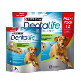 Purina Dentalife Maxi - Bâtonnets x 12 PURINA 7613035379770 Friandises