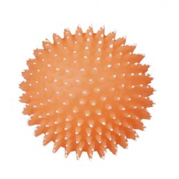 Balle Trixie hérisson phosphorescente en vinyle TRIXIE 4011905340913 Balles