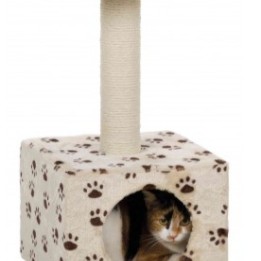TRIXIE Arbre à chat Junior TRIXIE 4011905433547 Arbres à chat, griffoirs