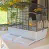 CAGE CANTO NOIRE FERPLAST 8010690001449 Canaris