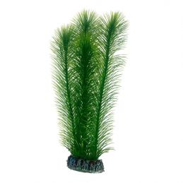 Hobby plante Mayaca HOBBY  Plantes