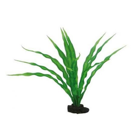 Hobby Crinum  HOBBY 4011444415066 Plantes