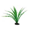 Hobby Crinum  HOBBY 4011444415066 Plantes