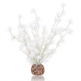 Oase Boule de bonsai OASE  Plantes