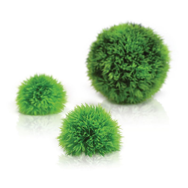 Oase Set boules vertes OASE 822728002957 Plantes