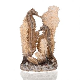 Décor hippocampes sur corail Oase OASE 822728550380 Décors