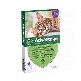 Antiparasitaire Advantage 4 kg et plus ADVANTIX  Pipettes et spray