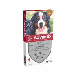 Advantix antiparasitaire chien 40kg et plus ADVANTIX 4007221048558 Pipettes