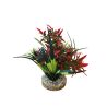 Plantes AquaPlants Sydeco  3502733801543 Plantes