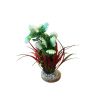 Plantes AquaPlants Sydeco  3502733801543 Plantes