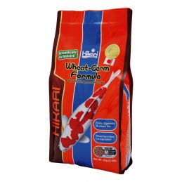 Hikari Wheat-germ medium  HIKARI  Alimentation
