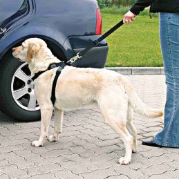 Harnais de sécurité pour voiture Trixie - Taille L  TRIXIE 4011905012926 Accessoires pour voiture et vélo
