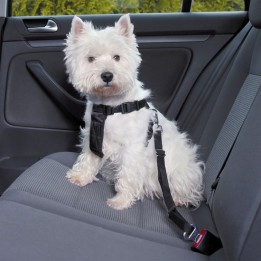 Harnais de sécurité pour voiture Trixie - Taille XS TRIXIE 4011905012889 Accessoires pour voiture et vélo