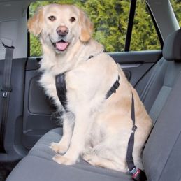 Harnais de sécurité pour voiture Trixie - Taille M TRIXIE 4011905012919 Transport