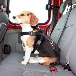 Harnais de sécurité pour voiture Trixie - Taille S TRIXIE 4011905012902 Accessoires pour voiture et vélo