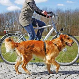 Laisse pour vélo et jogging  TRIXIE 4011905012827 Accessoires pour voiture et vélo