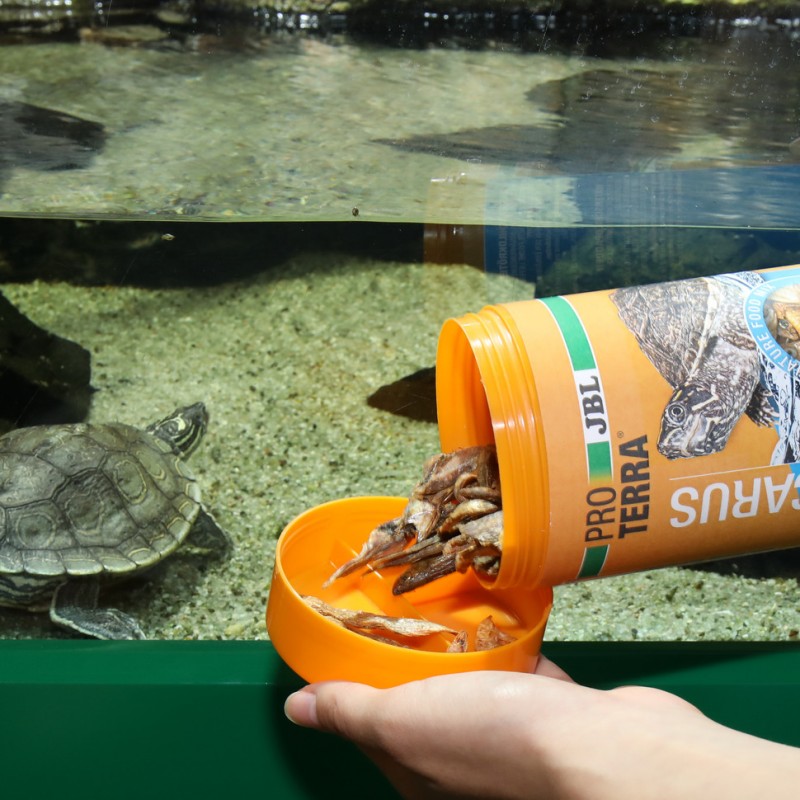 JBL ProTerra Pescarus JBL  Nourriture reptiles et amphibiens