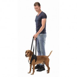 Aide à la marche – harnais de soutien – Trixie TRIXIE  Accessoires, Hygiène et soins