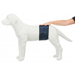 Bande de Protection ventrale lavable pour chiens mâles – Trixie TRIXIE  Accessoires, Hygiène et soins