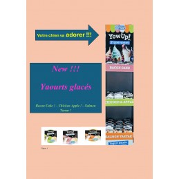 YOW UP ! Yaourt glacé pour chien, parfum au choix DairyPet  Friandises, compléments alimentaires