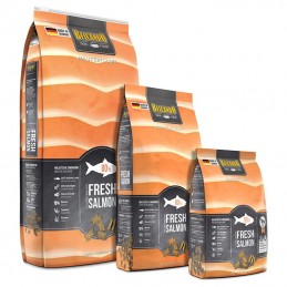 Croquettes Chien Belcando Mastercraft Fresh Salmon BELCANDO  Croquettes Belcando