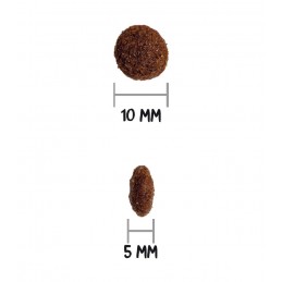 Croquettes Chien Ownat Classic Junior OWNAT  Croquettes OWNAT