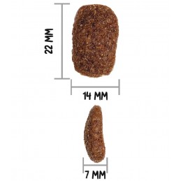 Croquettes Chien Ownat Classic Complet OWNAT  Croquettes OWNAT