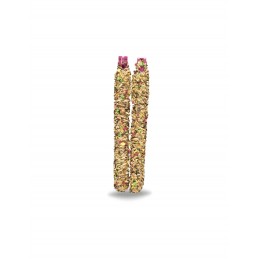 Sticks De Friandises Kiwi & Pommes Pour Canaris – Cunipic CUNIPIC 8437009971994 Alimentation, friandises