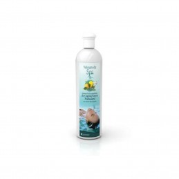 Velours de Spa – Cajeput / Citron 250 ml – Lab. Camylle LAB. CAMYLLE 3760122951037 Piscines et Spa
