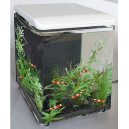 SuperFish Mini Home 8 SUPERFISH  Aquariums