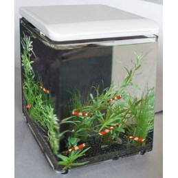 SuperFish Mini Home 8 SUPERFISH  Aquariums