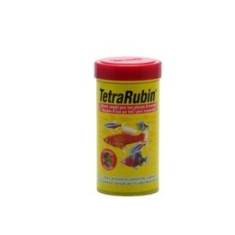 Tetra Tetrarubin TETRA  Exotiques