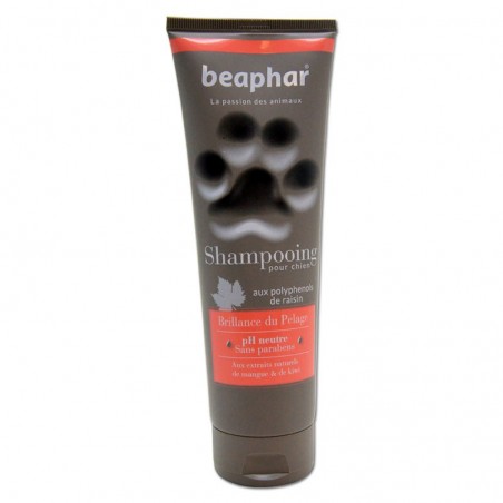 Shampoing pour Chien Beaphar Brillance du Pelage BEAPHAR 8711231150205 Shampooings