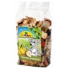 JR Farm Salade de Fruits pour Chinchilla JR FARM 4024344004612 Autres rongeurs